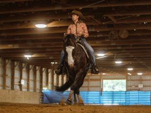 buck horse