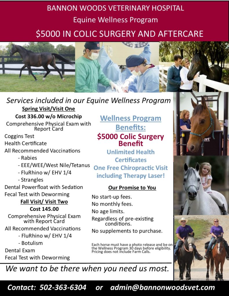 $5000 in Colic Surgery and Aftercare | Best Animal Hospital | Bannon Woods Veterinary Hospital | Louiseville KY