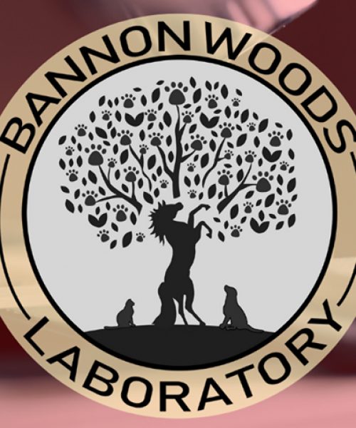 Bannon-Woods-LAB